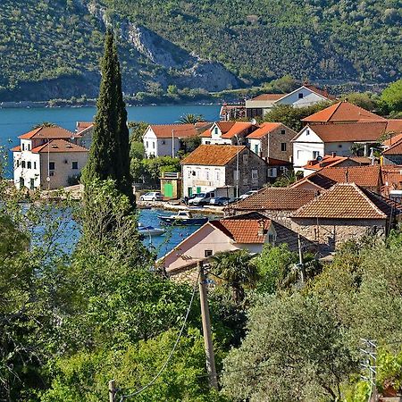 Apartments Dinko Zifra Tivat Eksteriør bilde