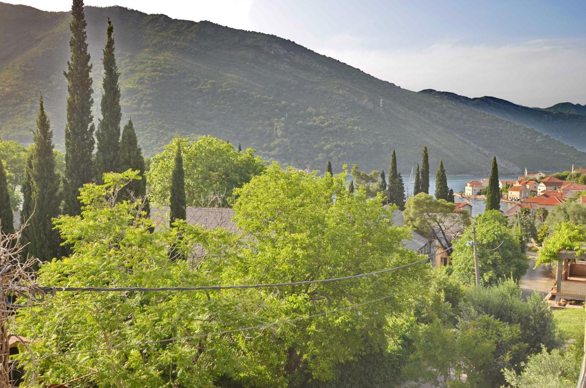 Apartments Dinko Zifra Tivat Rom bilde