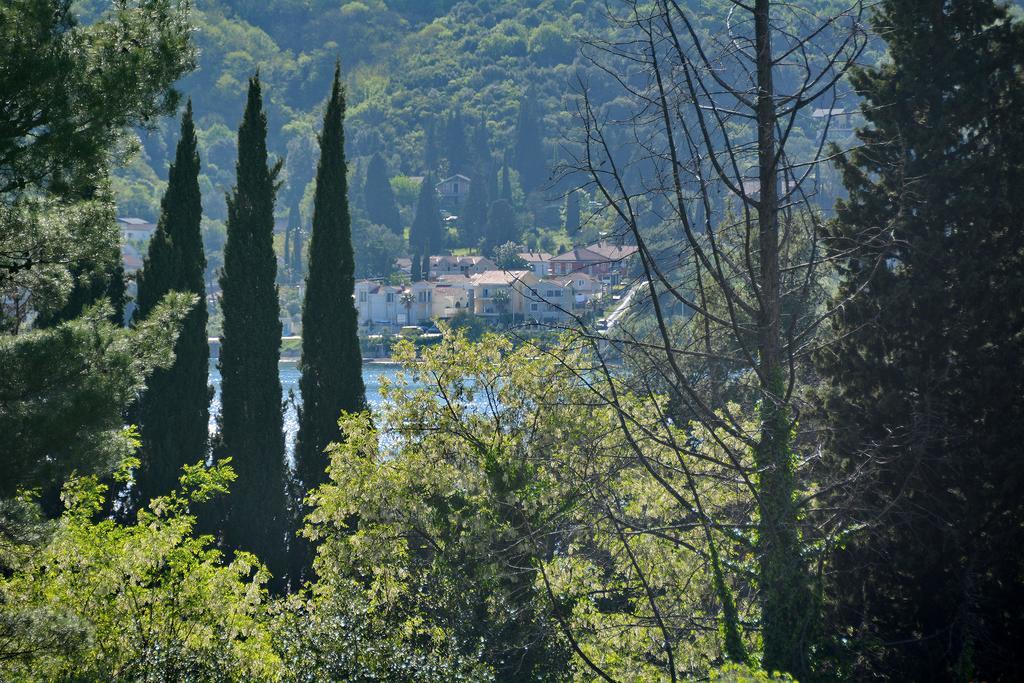 Apartments Dinko Zifra Tivat Eksteriør bilde